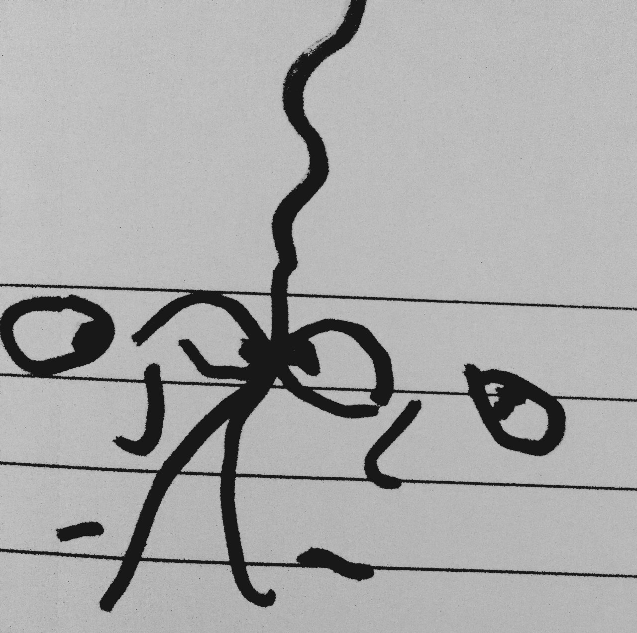 But I never really knew&nbsp;you.