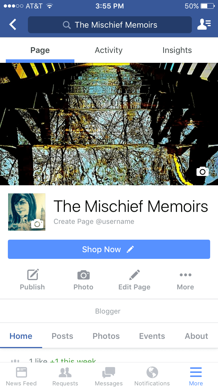 Facebook Page for The Mischief to&nbsp;Spread.