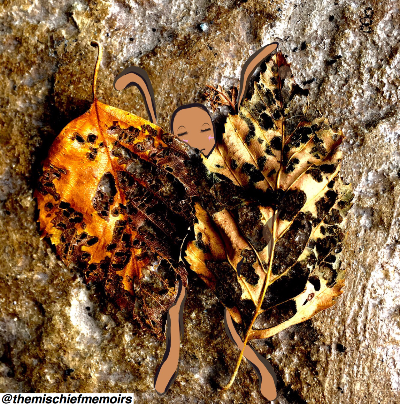 Blankets that Never&nbsp;Reach.﻿