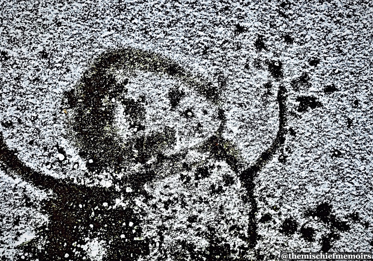 Sky was made of&nbsp;I.