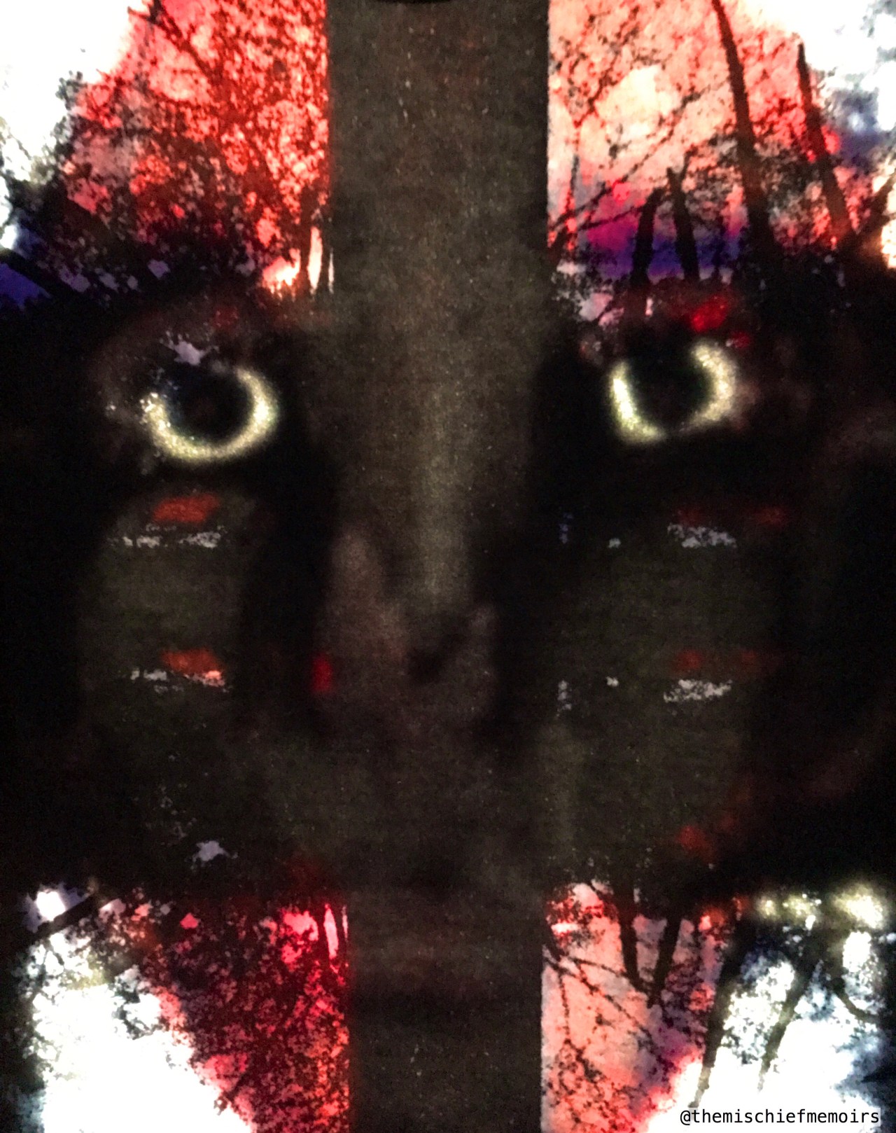 In A Mile Long of&nbsp;Masters.