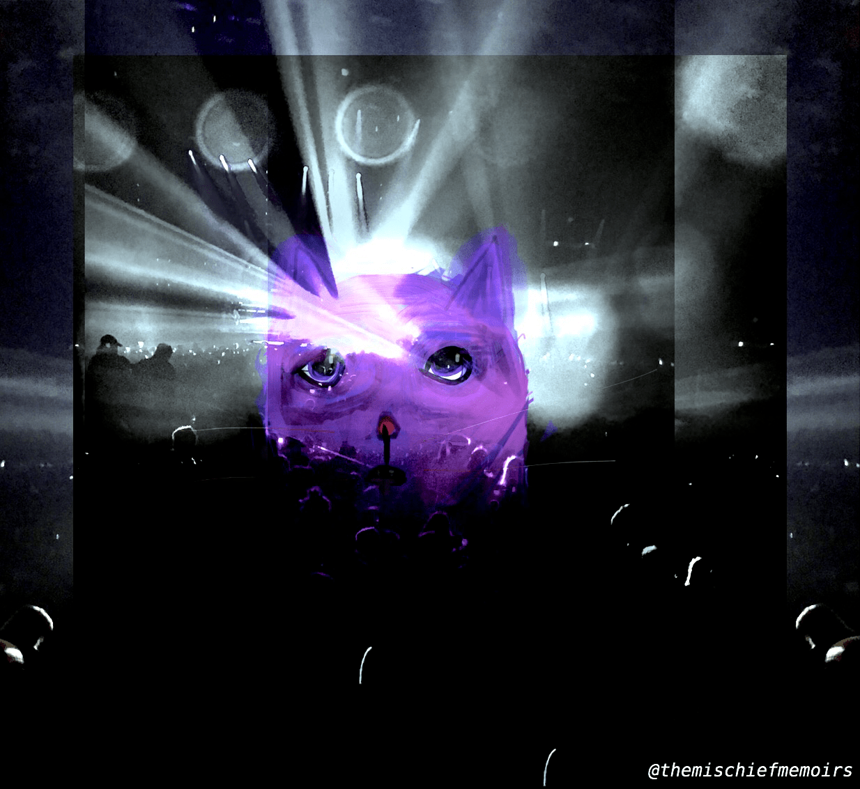 The Internet of&nbsp;Cats.