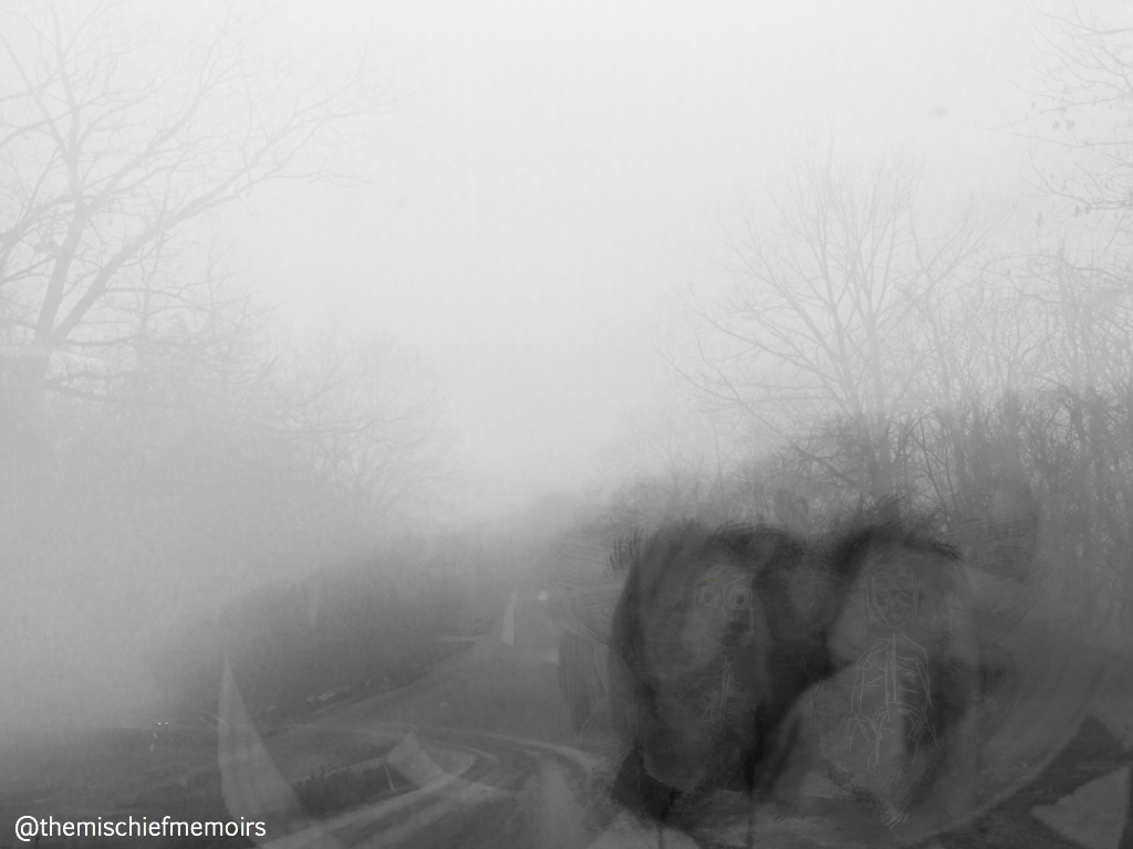 The Real Feel See it Now&nbsp;Show.