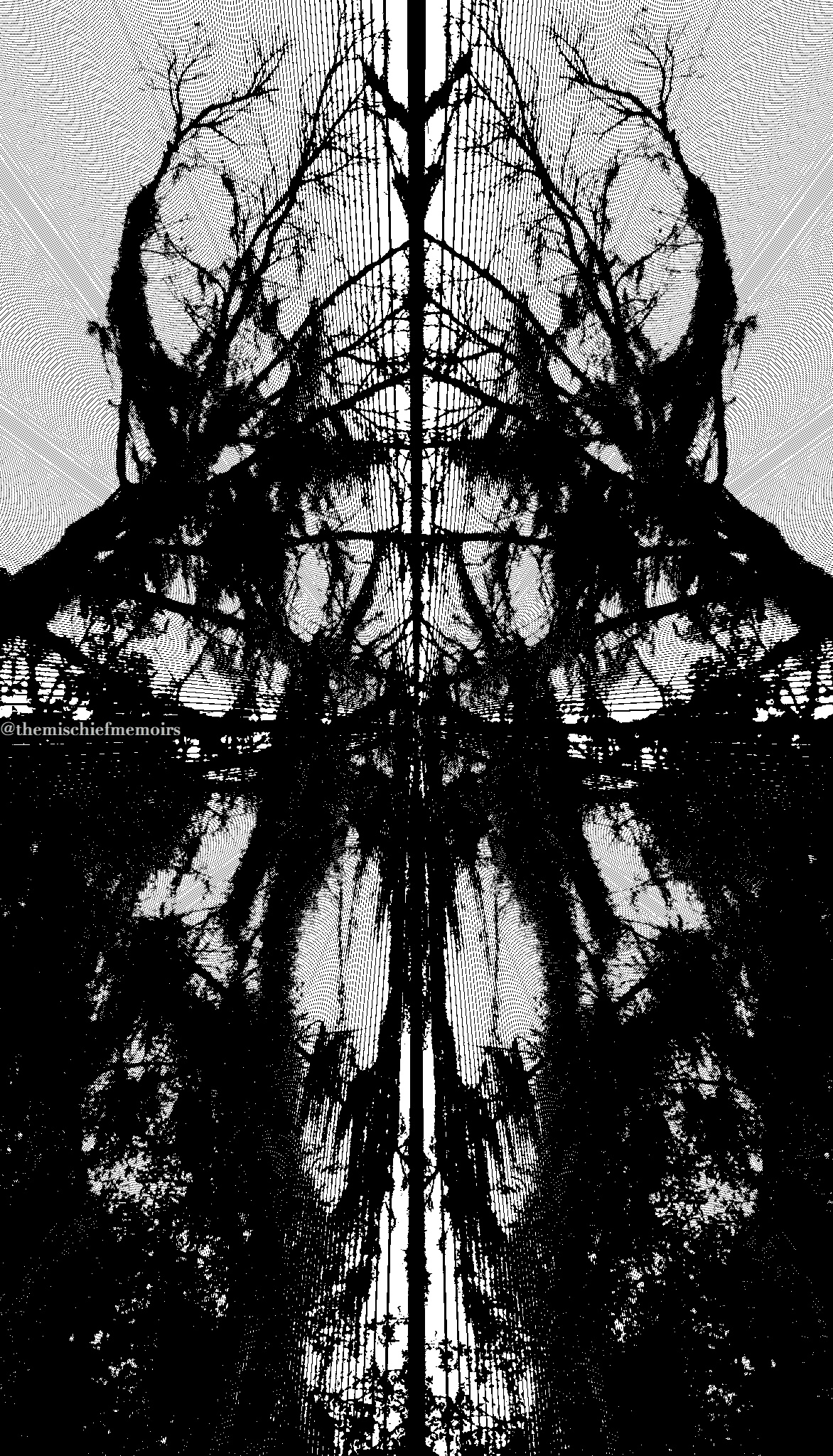 Every Step Approaches.