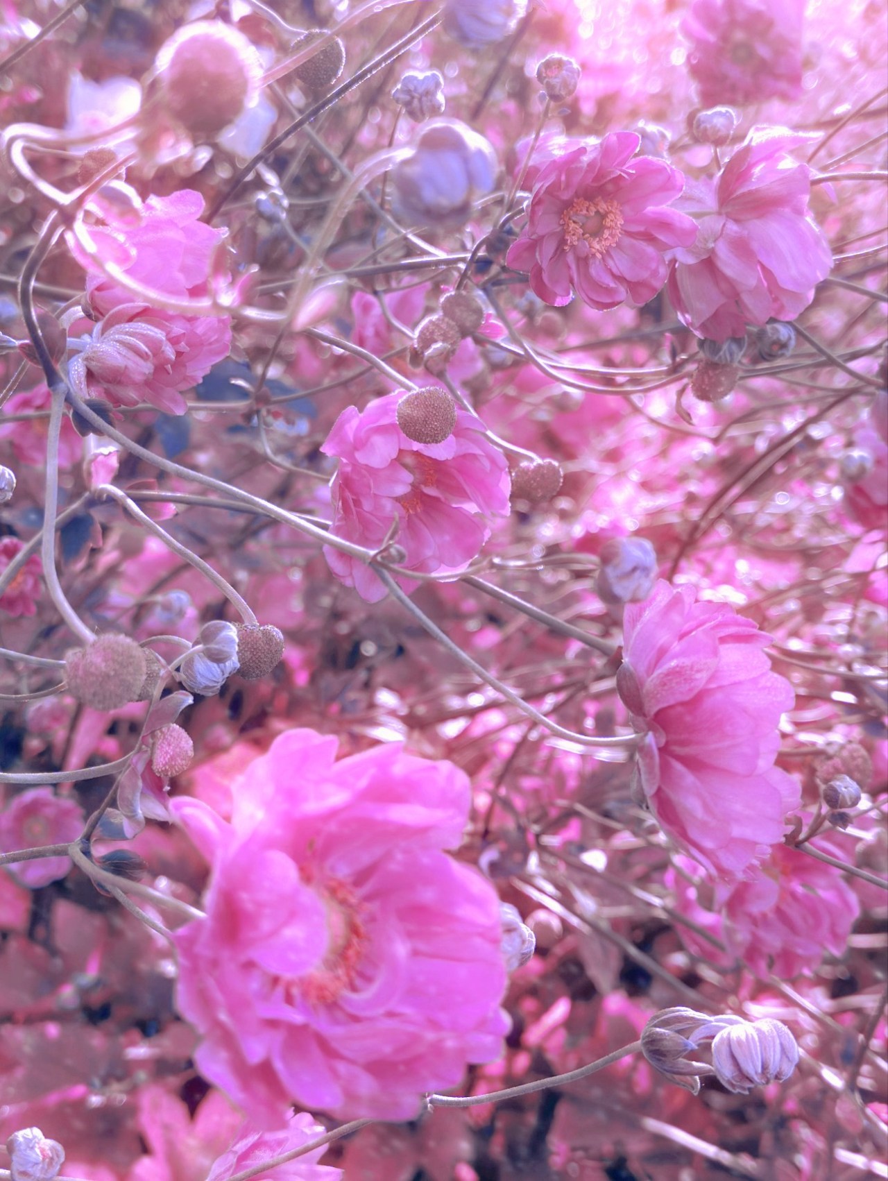 What if I told you a&nbsp;lie?